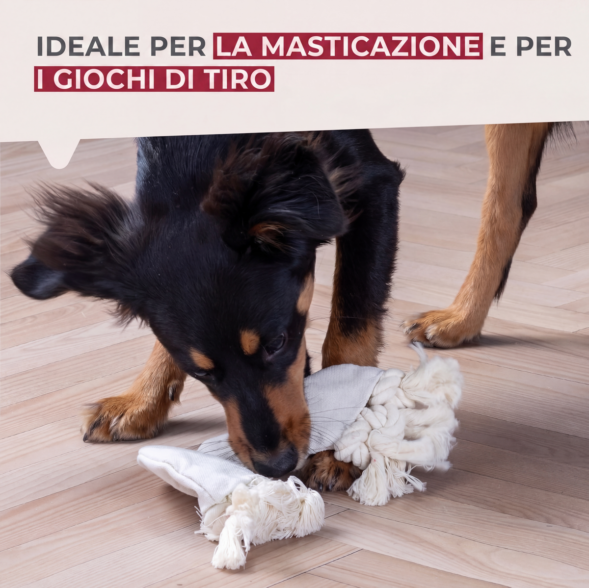 Treccia gioco per cani, in cotone, 23×17×3 cm