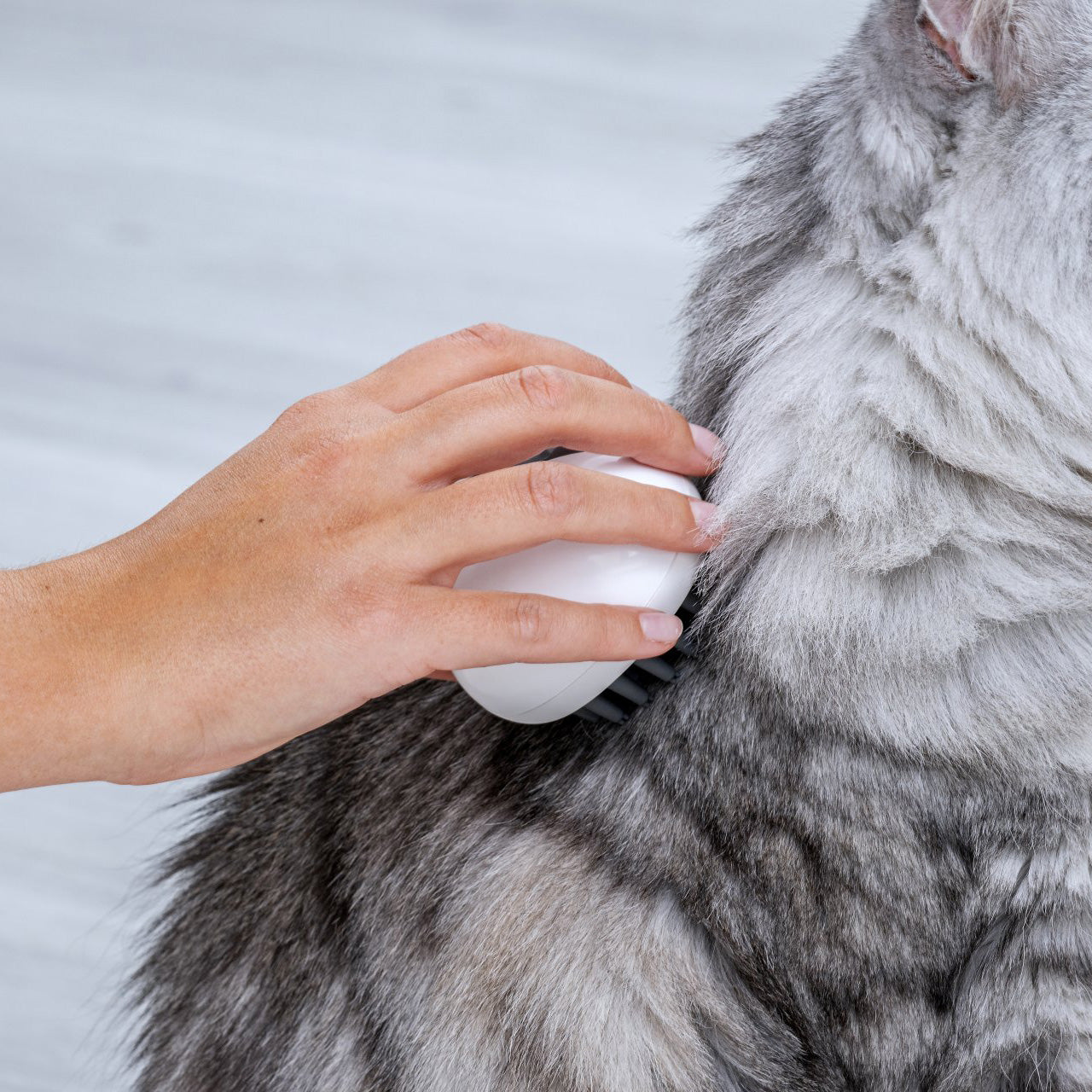 Spazzola massaggiante per cane e gatto
