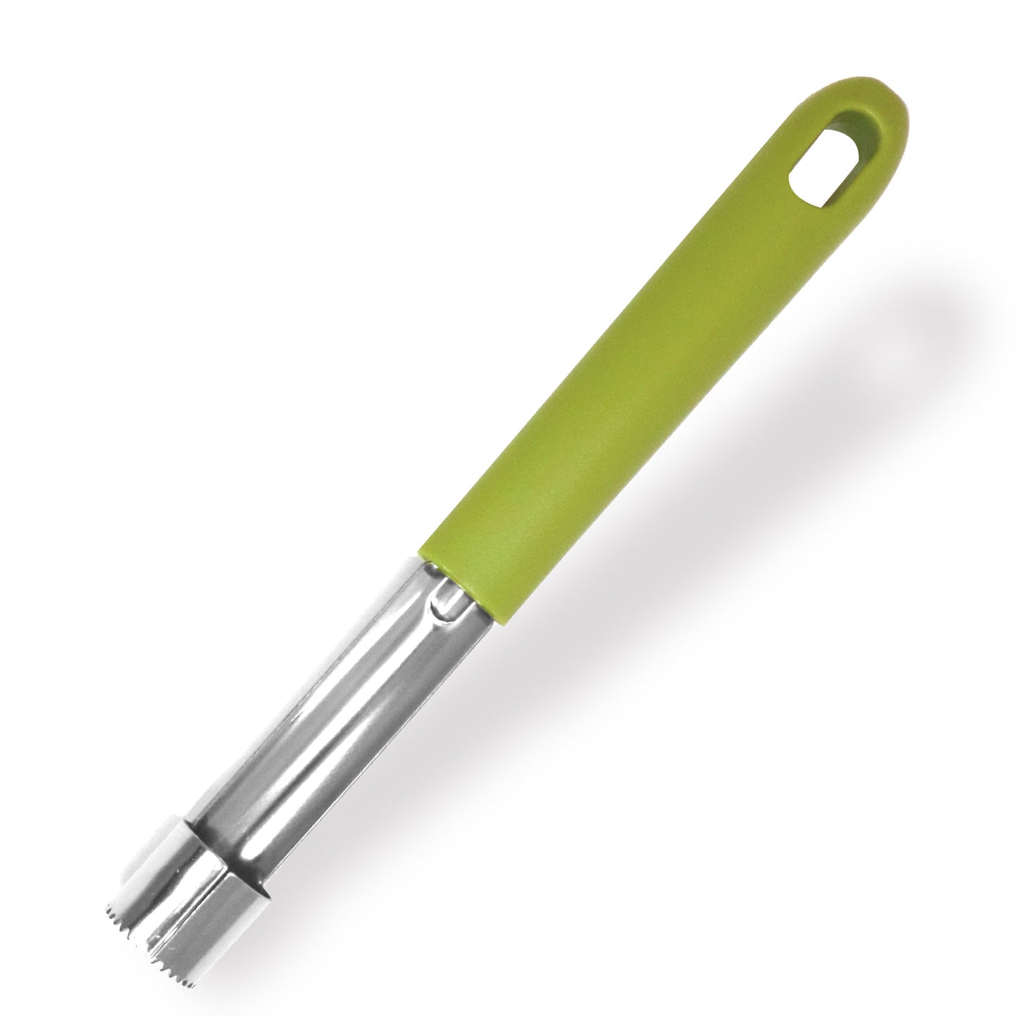 Levatorsoli, Linea Oliva