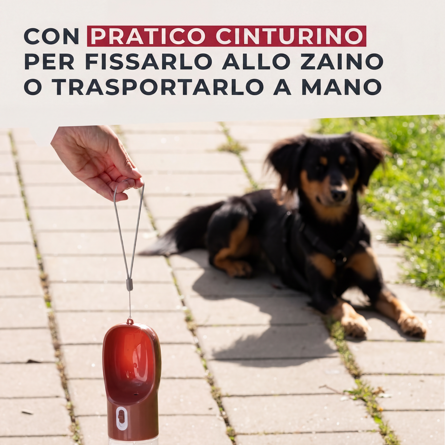 Borraccia portatile per cani, 400 ml