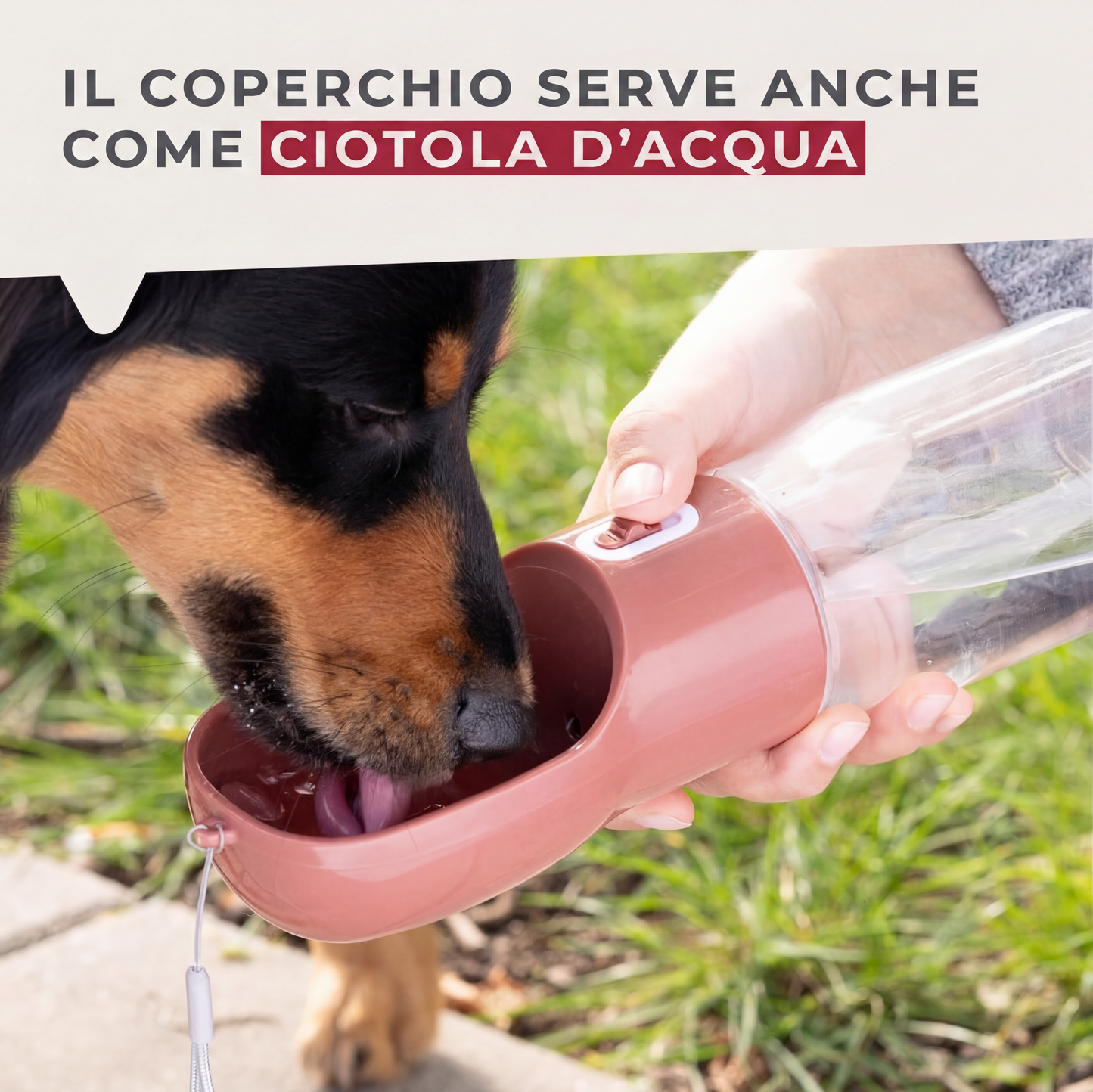 Borraccia portatile per cani, 400 ml