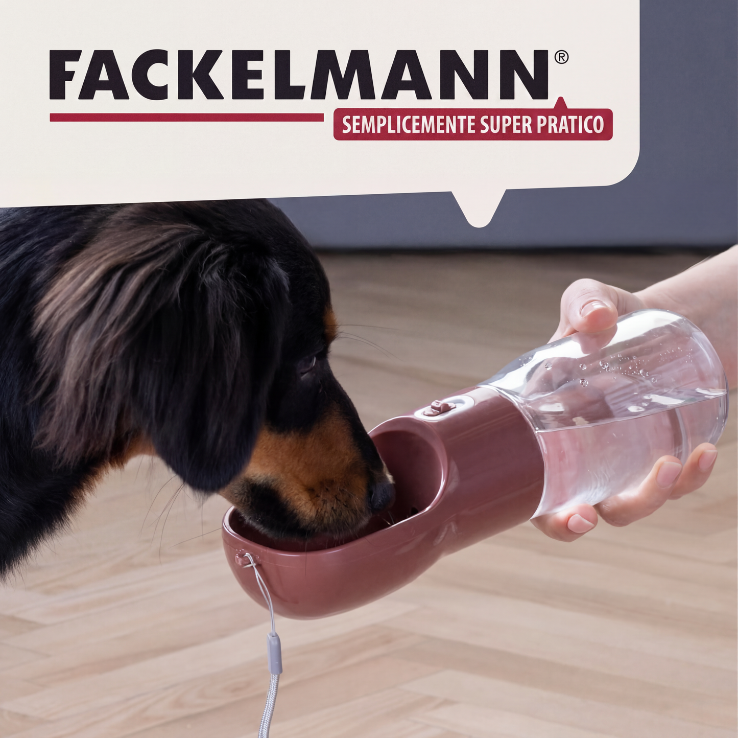 Borraccia portatile per cani, 400 ml