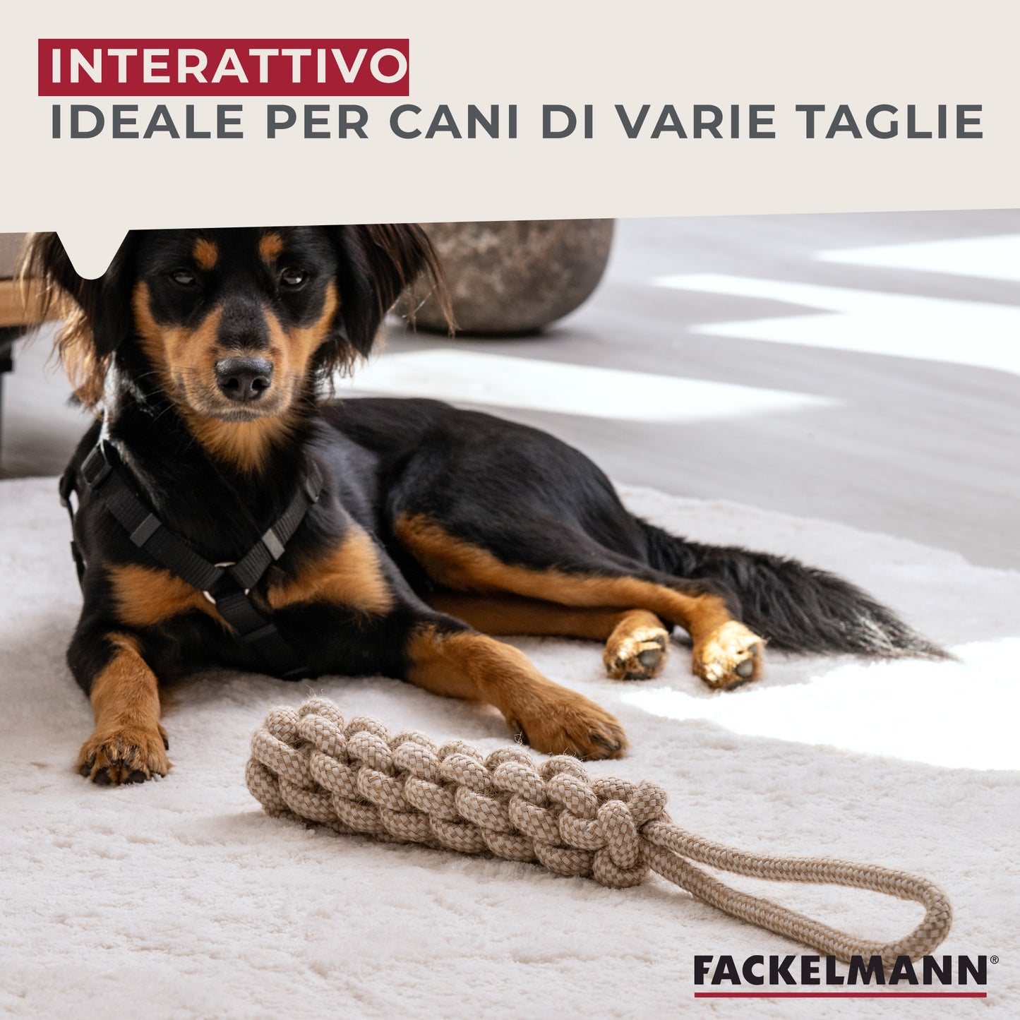 Treccia gioco corda per cani, in cotone, 40×8 cm