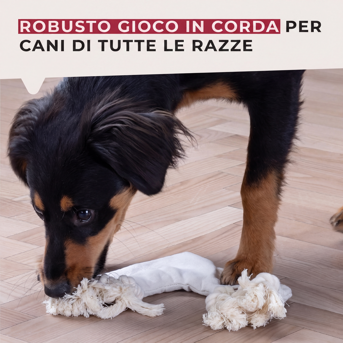 Treccia gioco per cani, in cotone, 23×17×3 cm
