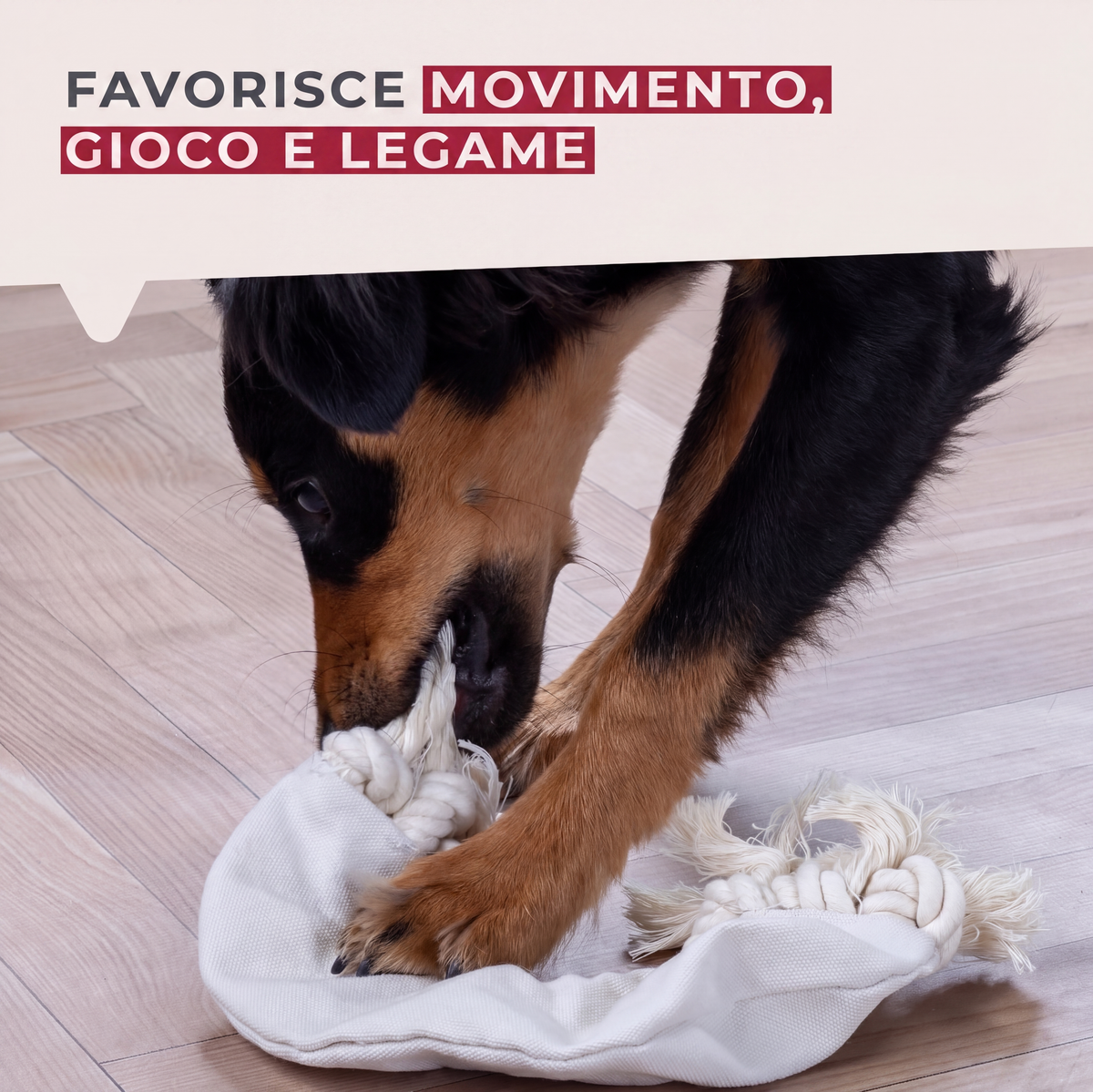 Treccia gioco per cani, in cotone, 23×17×3 cm