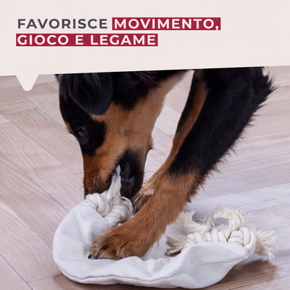 Treccia gioco per cani, in cotone, 23×17×3 cm