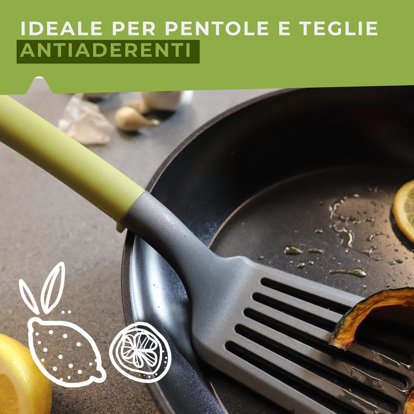 Paletta forata, Linea Oliva