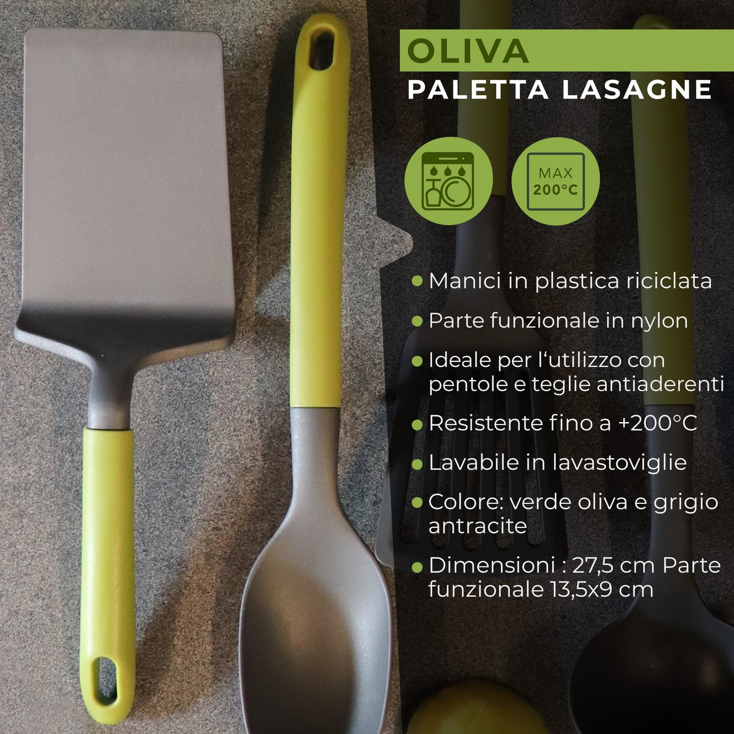 Paletta lasagne, Linea Oliva