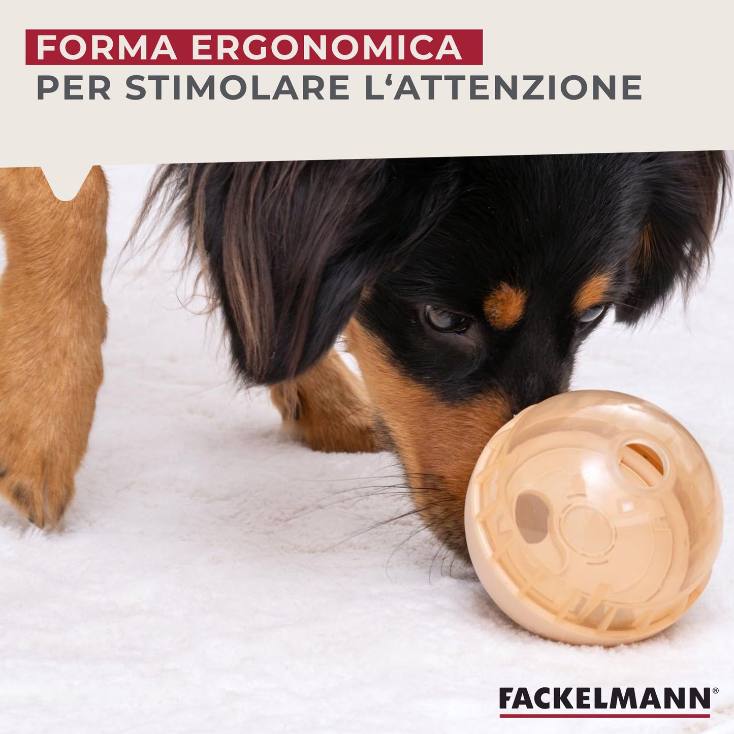 Pallina porta snack per cani e gatti
