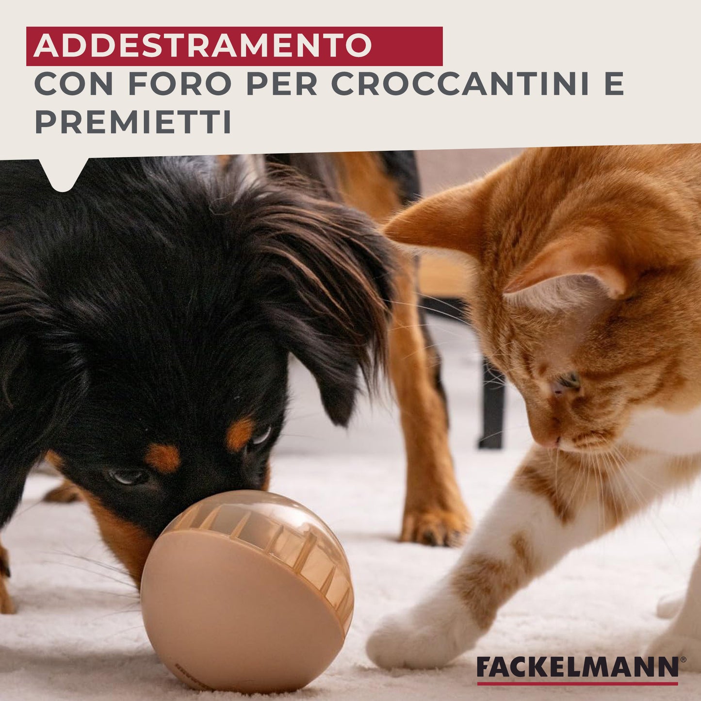 Pallina porta snack per cani e gatti