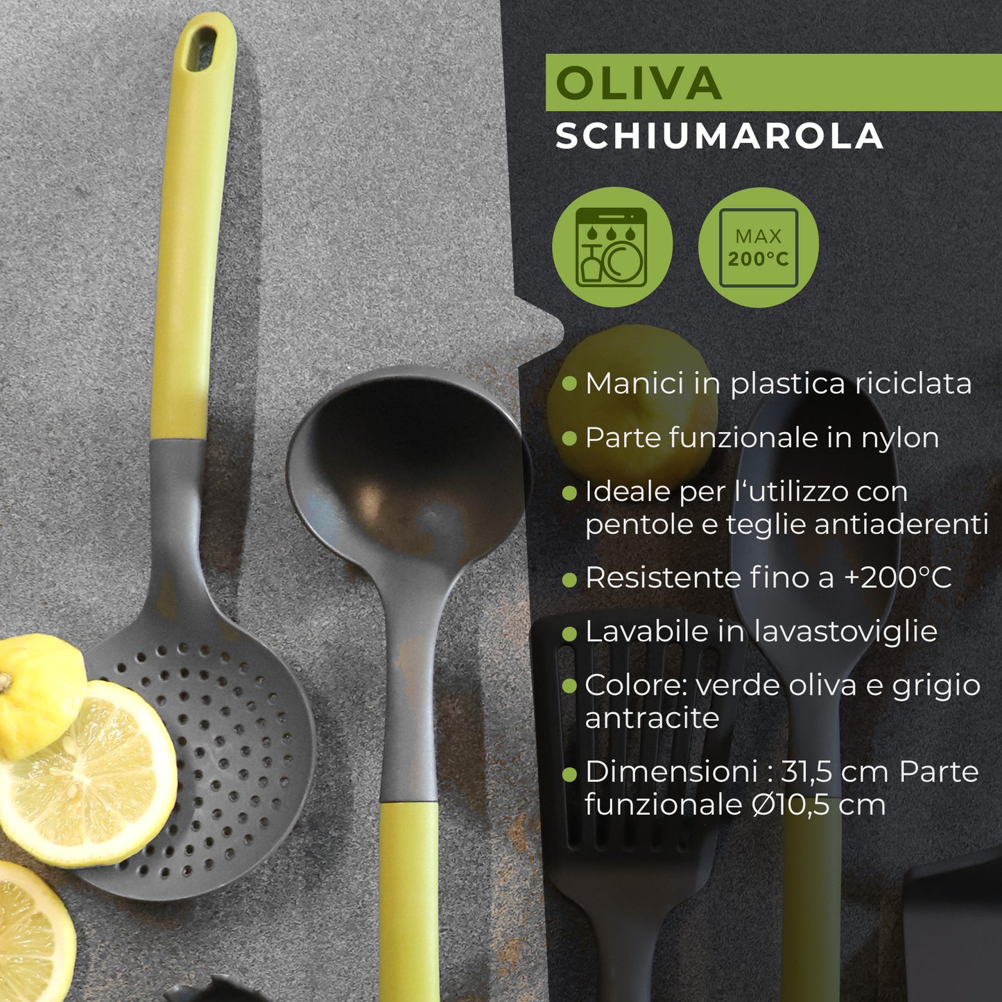 Schiumarola, Linea Oliva