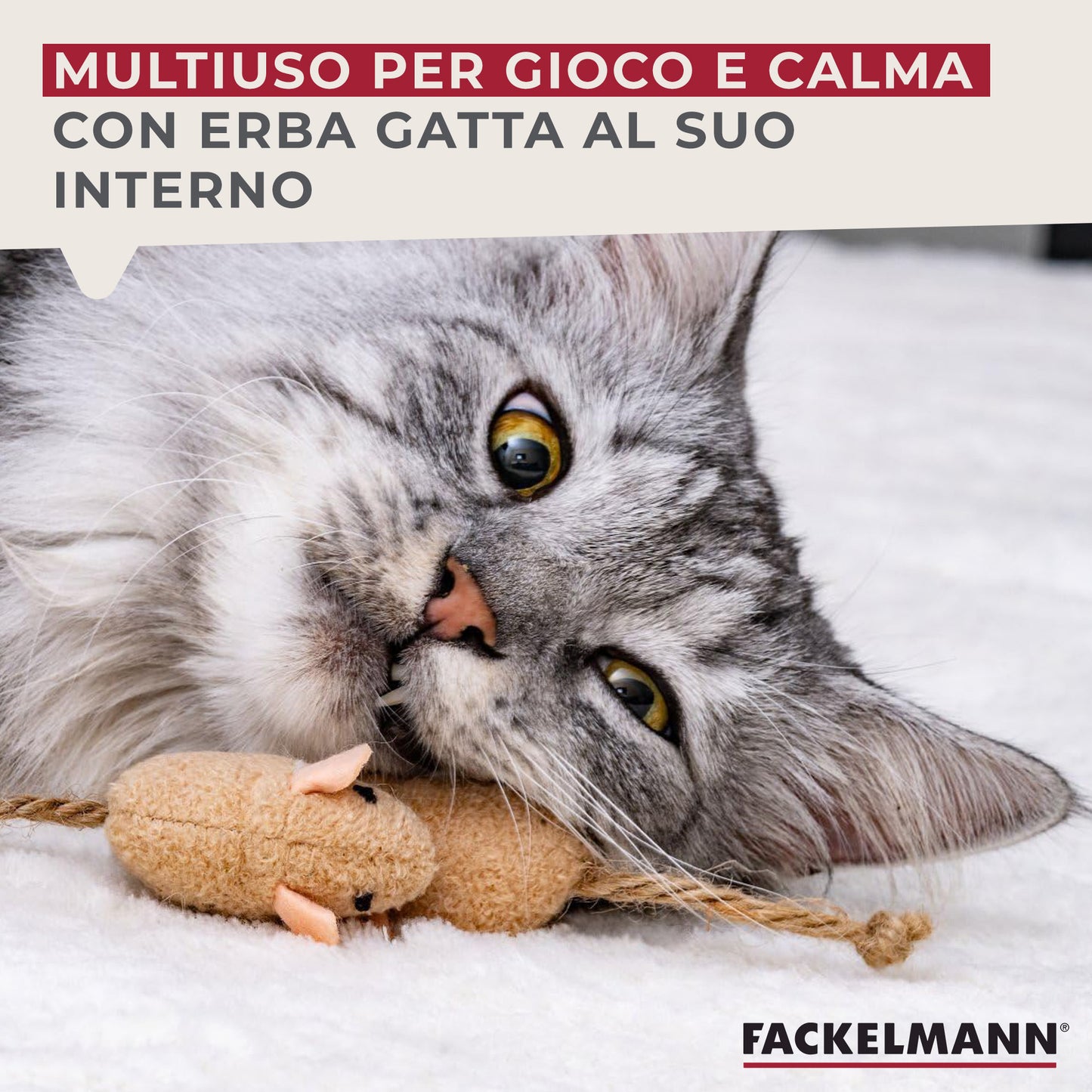 Set giochi per gatti