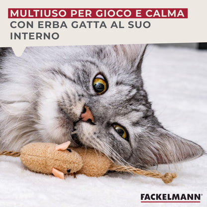 Set giochi per gatti