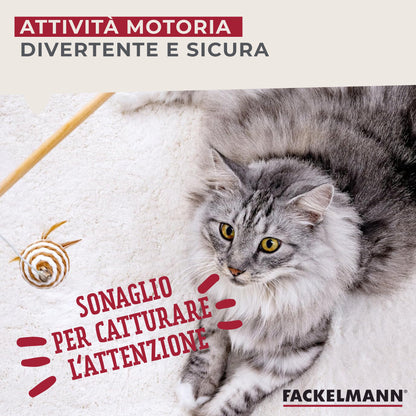 Set giochi per gatti