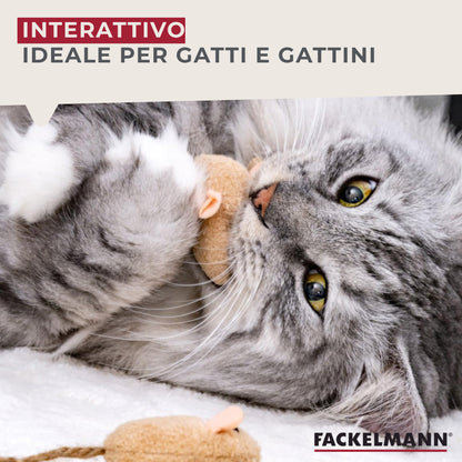 Set giochi per gatti