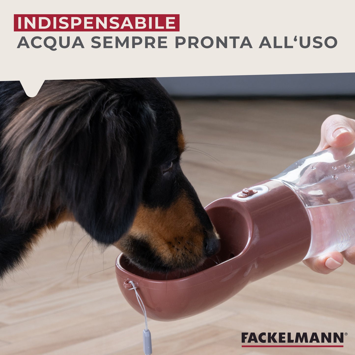 Set animali borraccia e tappetino