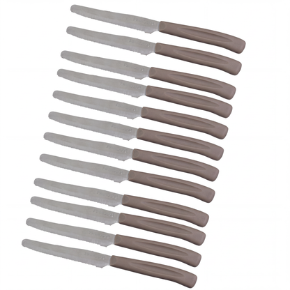 Set 12 Coltelli Lama Seghettata punta arrotondata, 21 cm, Acciaio Inox, Manico Tortora