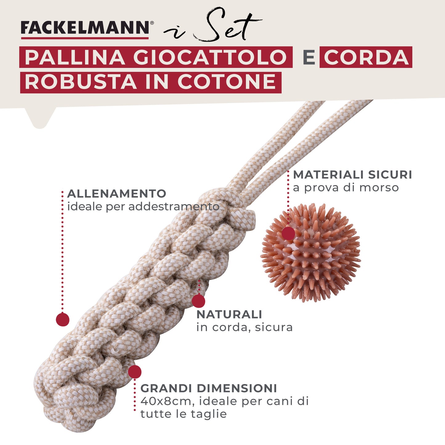 Set gioco per cani, treccia e pallina