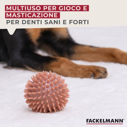 Set gioco per cani, treccia e pallina