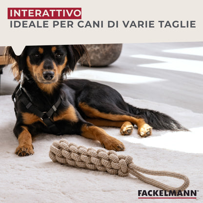 Set gioco per cani, treccia e pallina