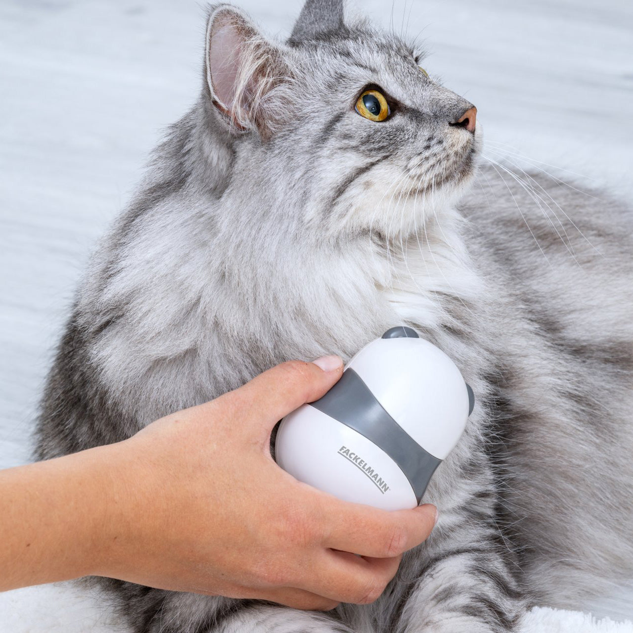 Spazzola massaggiante per cane e gatto