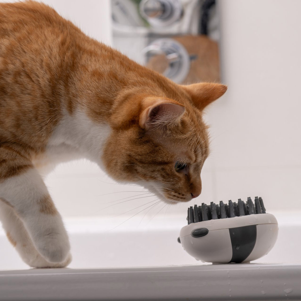 Spazzola massaggiante per cane e gatto