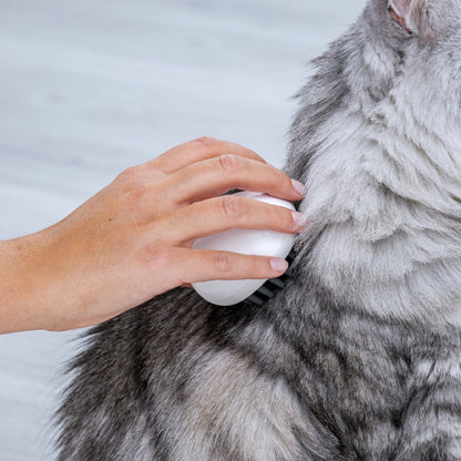 Spazzola massaggiante per cane e gatto