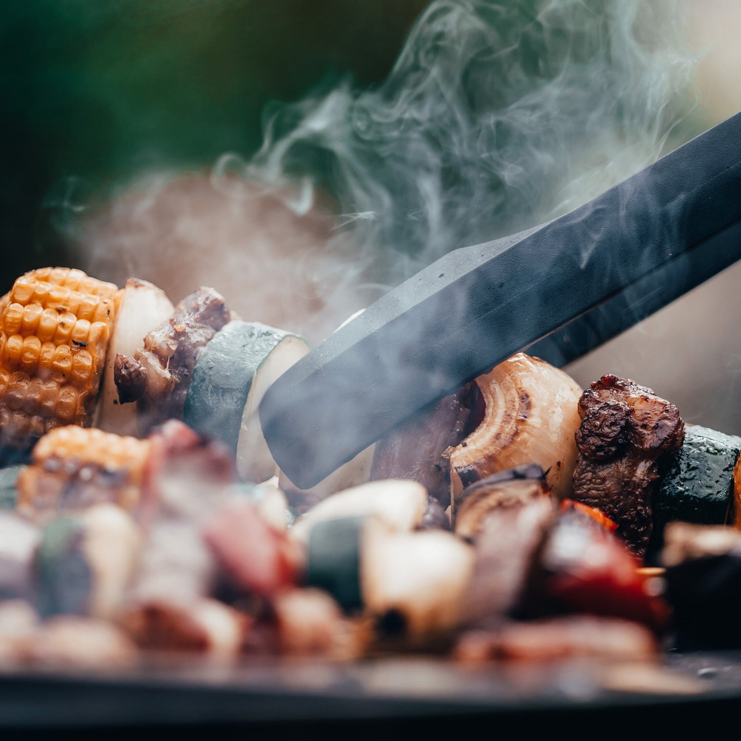 Pinza in nylon per barbecue