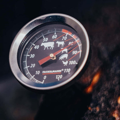 Termometro per carne