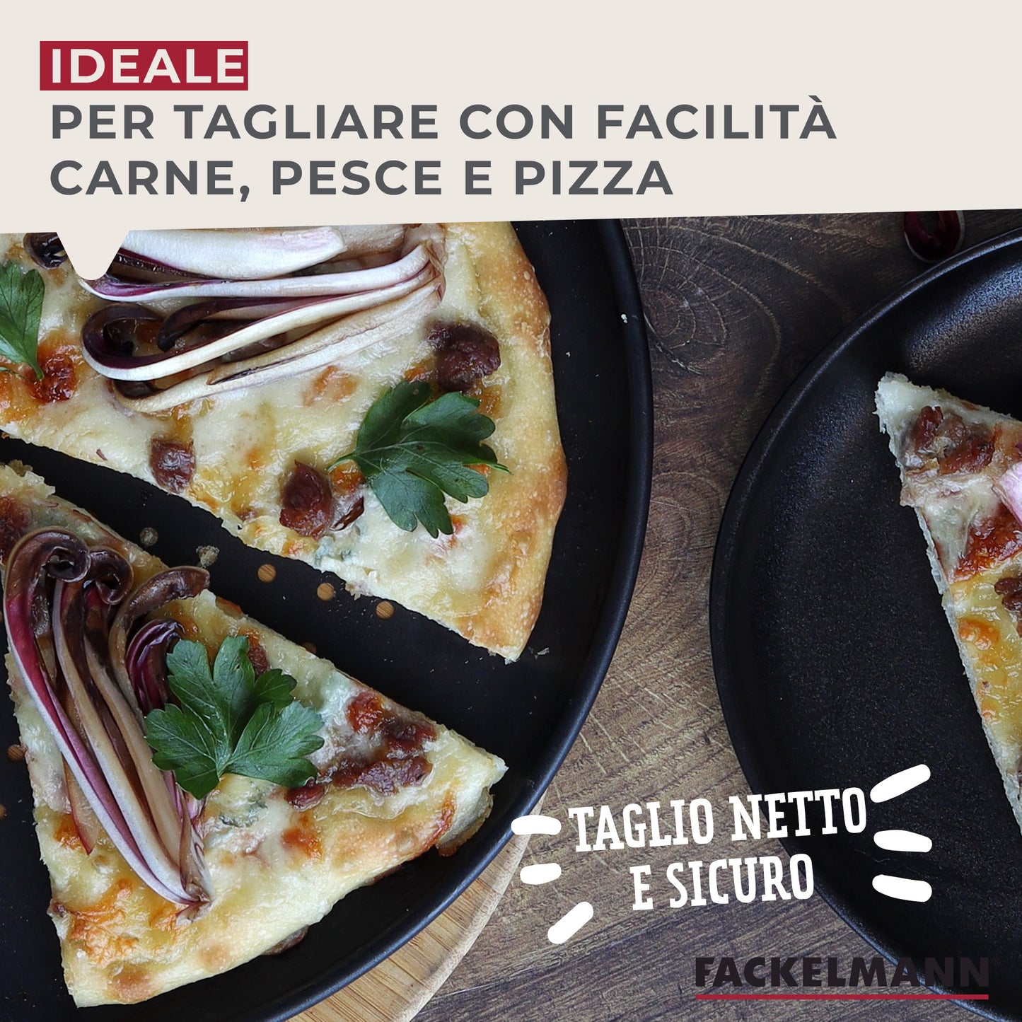 Set 6 coltelli lama seghettata con punta arrotondata