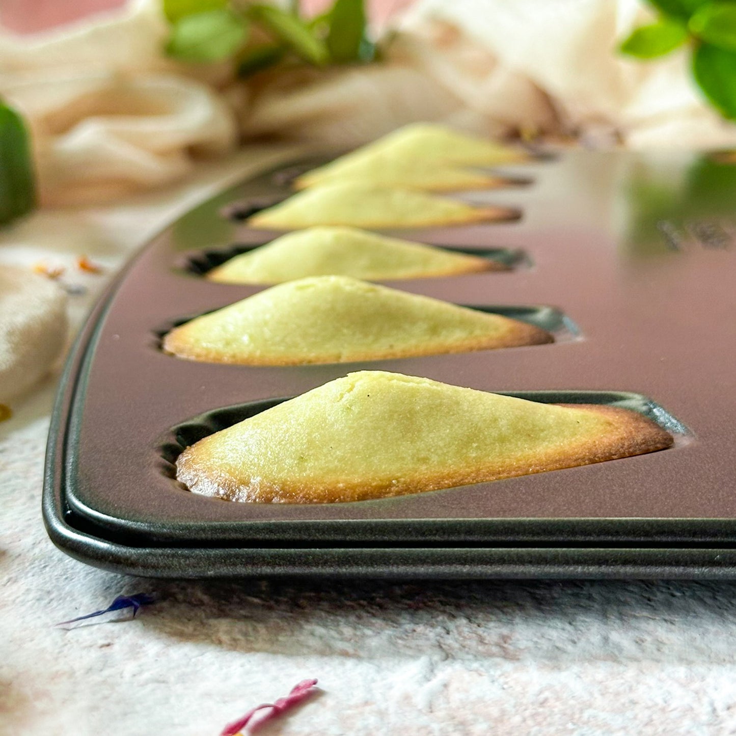 Teglia da forno per 12 Madeleine