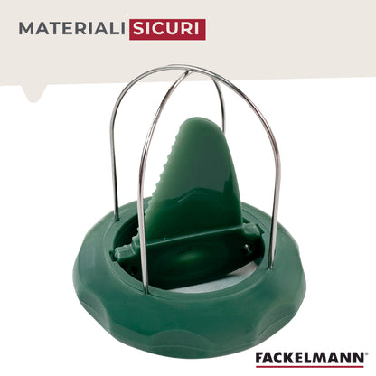 Tagliakiwi